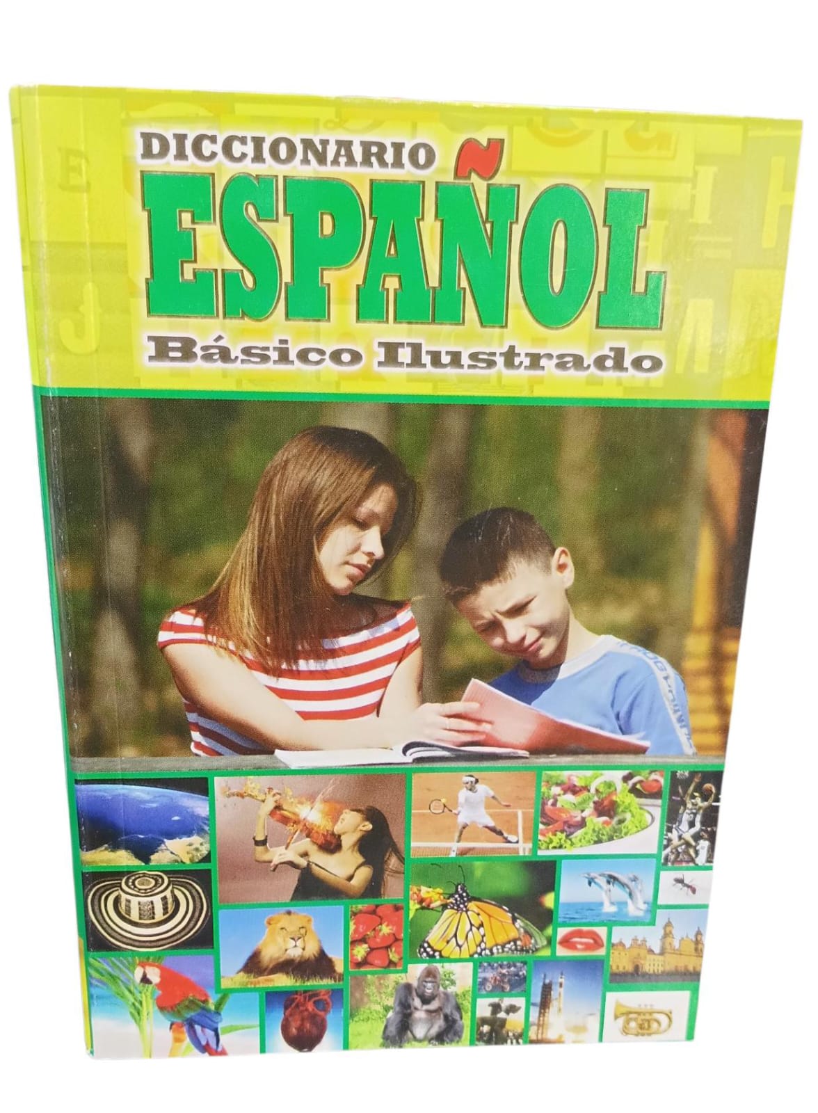 DICCIONARIO BASICO ESPAÑOL