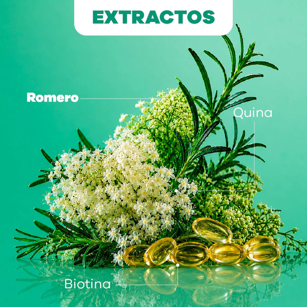 SHAMPOO ROMERO Y QUINA  500 ML NATURAL SANT