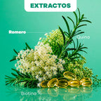 SHAMPOO ROMERO Y QUINA  500 ML NATURAL SANT